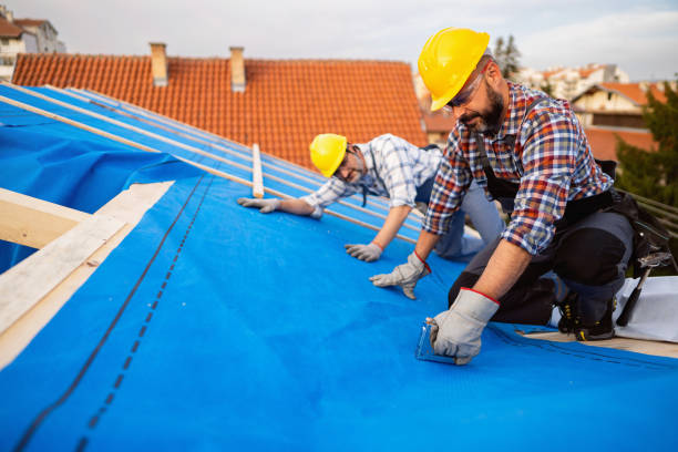 Best Metal Roofing Contractor  in Bainbridge, PA
